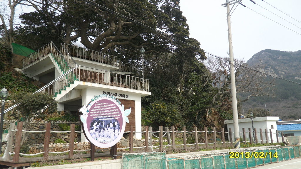 흑산도홍어2 이미지