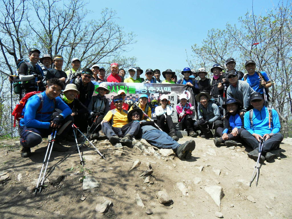 영춘 이미지
