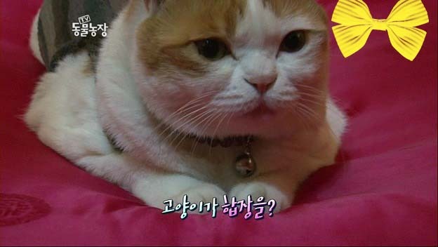 상귀농장 이미지