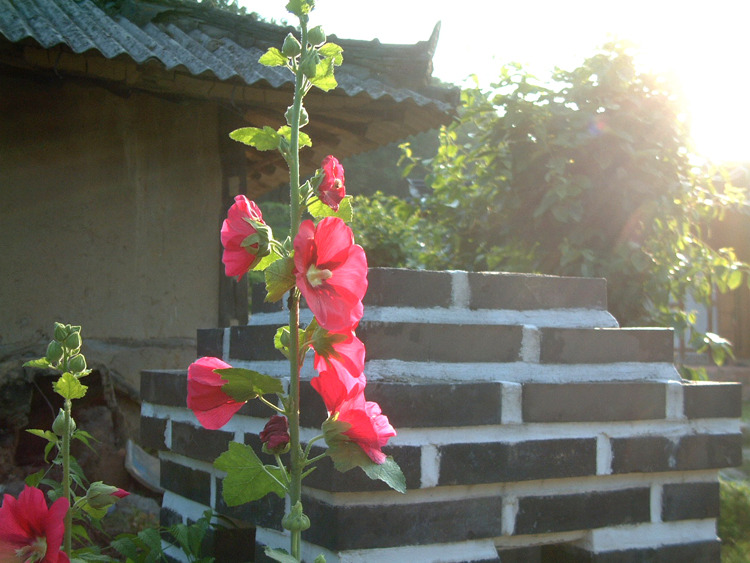 블랙아이즈 이미지