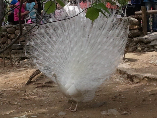 과천성당 이미지