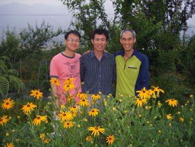 동심결 이미지