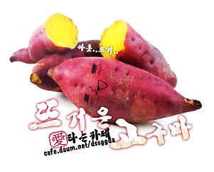 야호글로벌 이미지