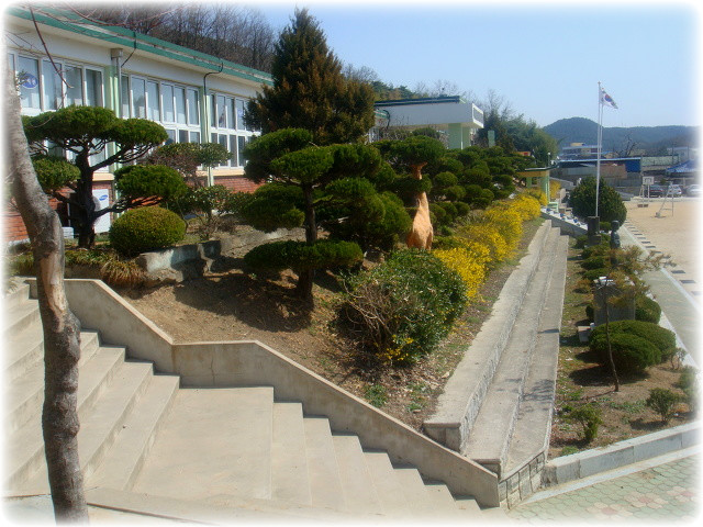 장천초등학교 이미지