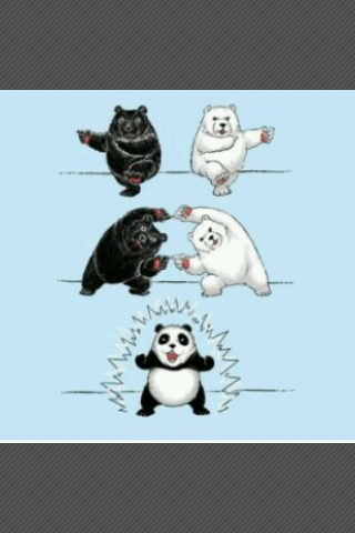 흑곰이다 이미지
