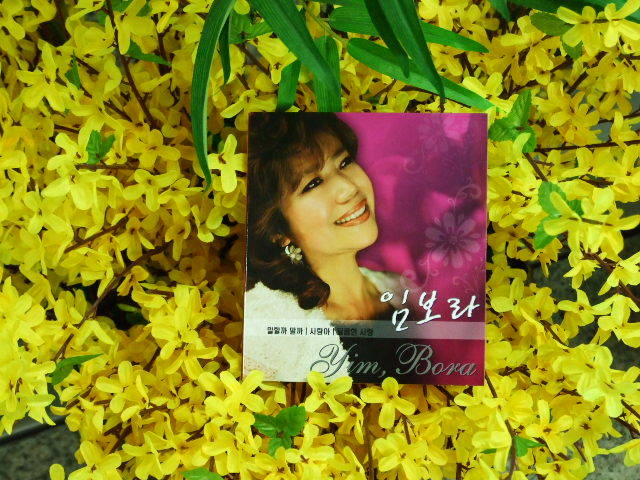 Mr.B 이미지