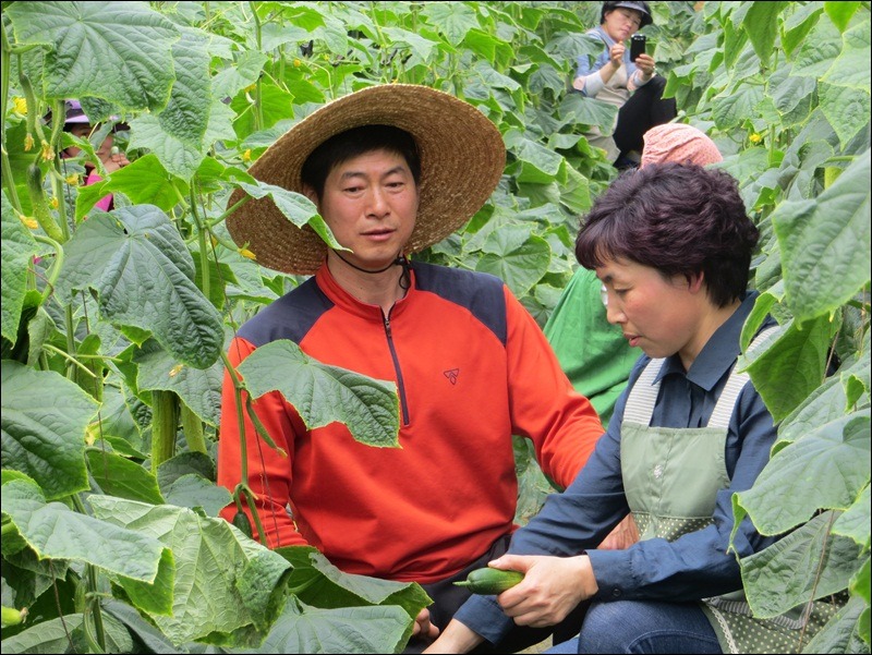봉황광고 이미지
