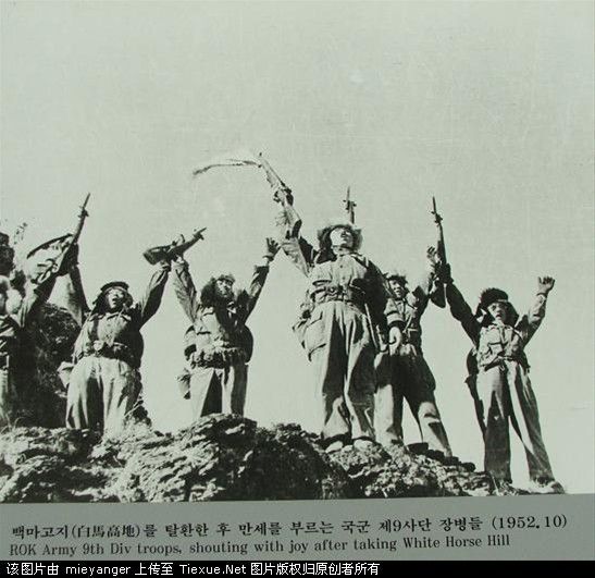 돈돼지 이미지