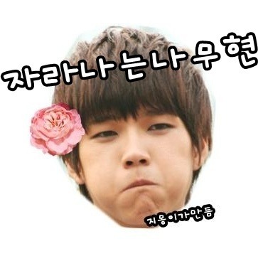 나무현 이미지