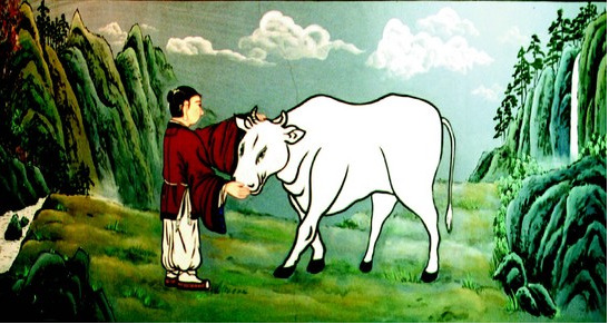 서광서적 이미지