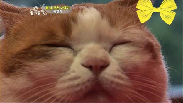 상귀농장 이미지