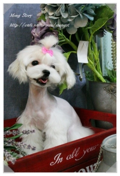 또또 이미지