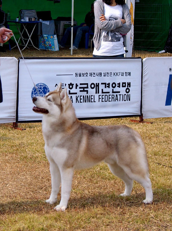 예티 이미지
