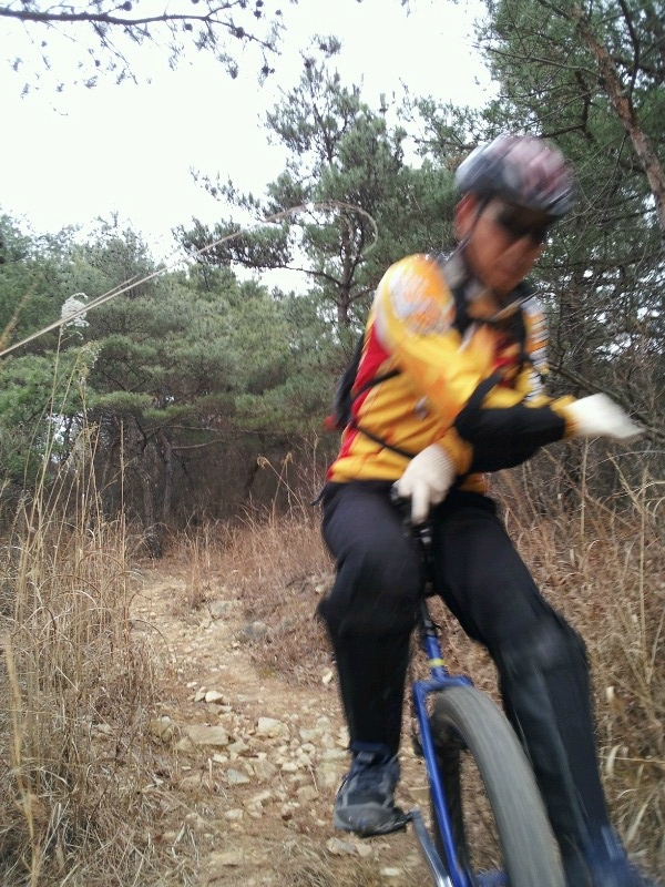 두치 이미지