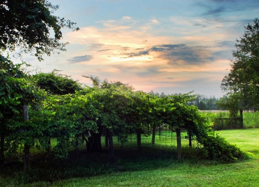 133D973A4EFC3AD9196AB0