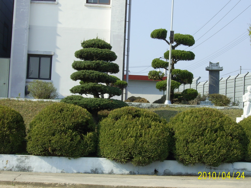 용봉초등학교 이미지