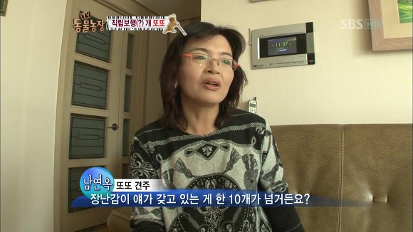 [동물농장] 지팡이 짚고 걷는 심봉사 개 또또라오 | 인스티즈