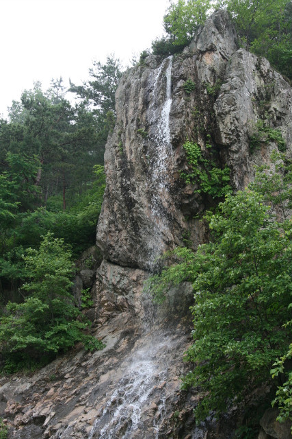 서대산약용자연휴양림 이미지
