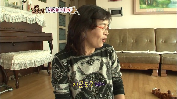 [동물농장] 지팡이 짚고 걷는 심봉사 개 또또라오 | 인스티즈