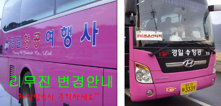 조은항공여행사 이미지