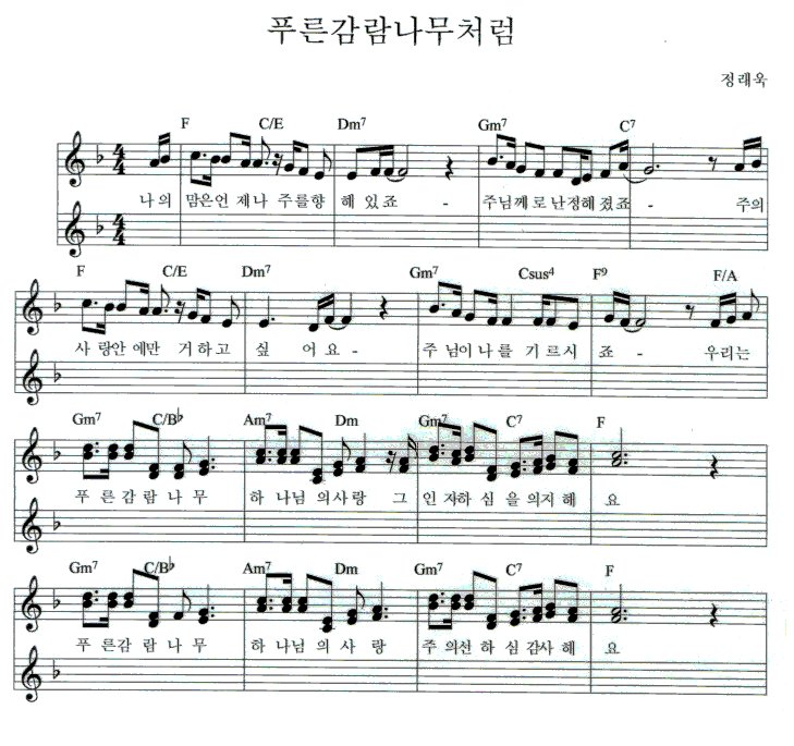 푸른감람나무 이미지