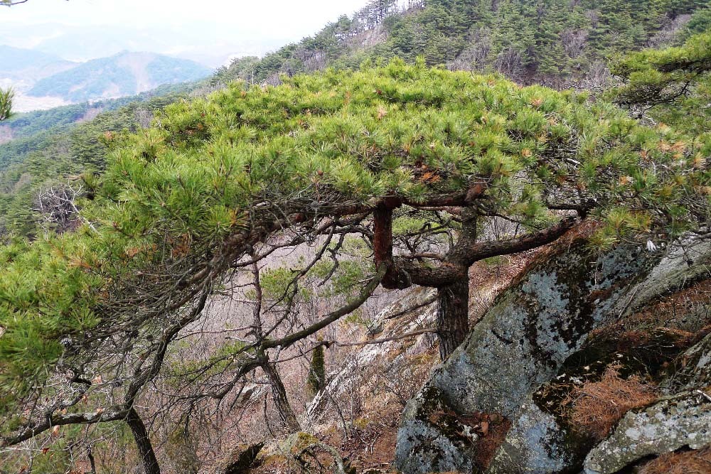 대산면(순창) 이미지