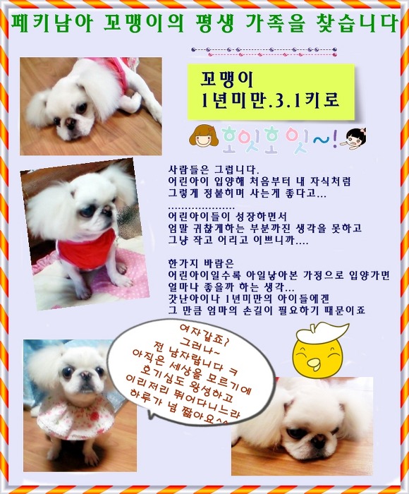 꼬맹이 이미지