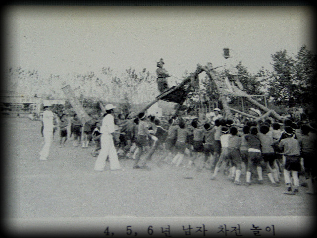 동채 이미지