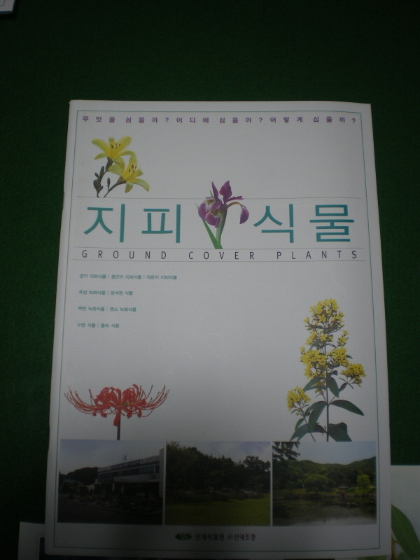 143522254CDCD3CE2C6956