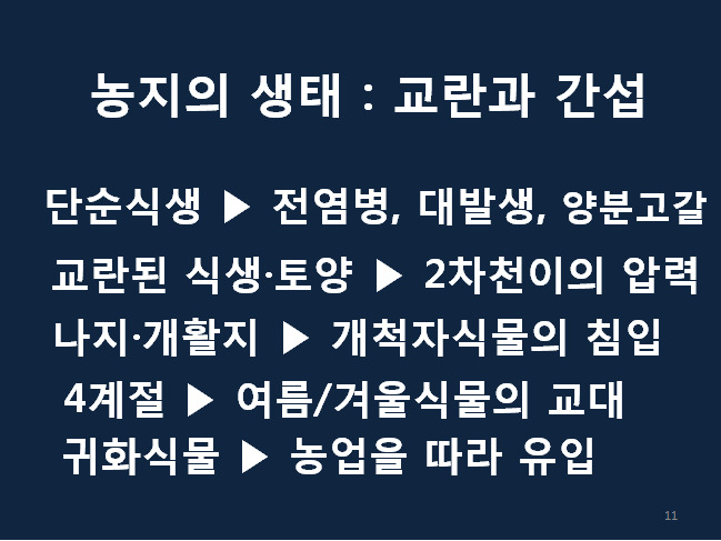 씨드림 이미지