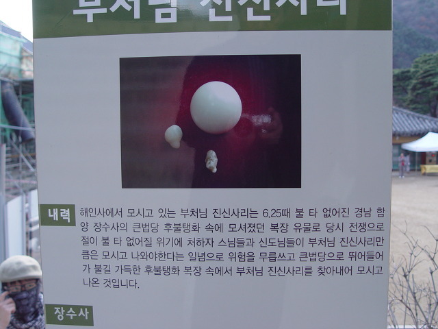 합천이모 이미지