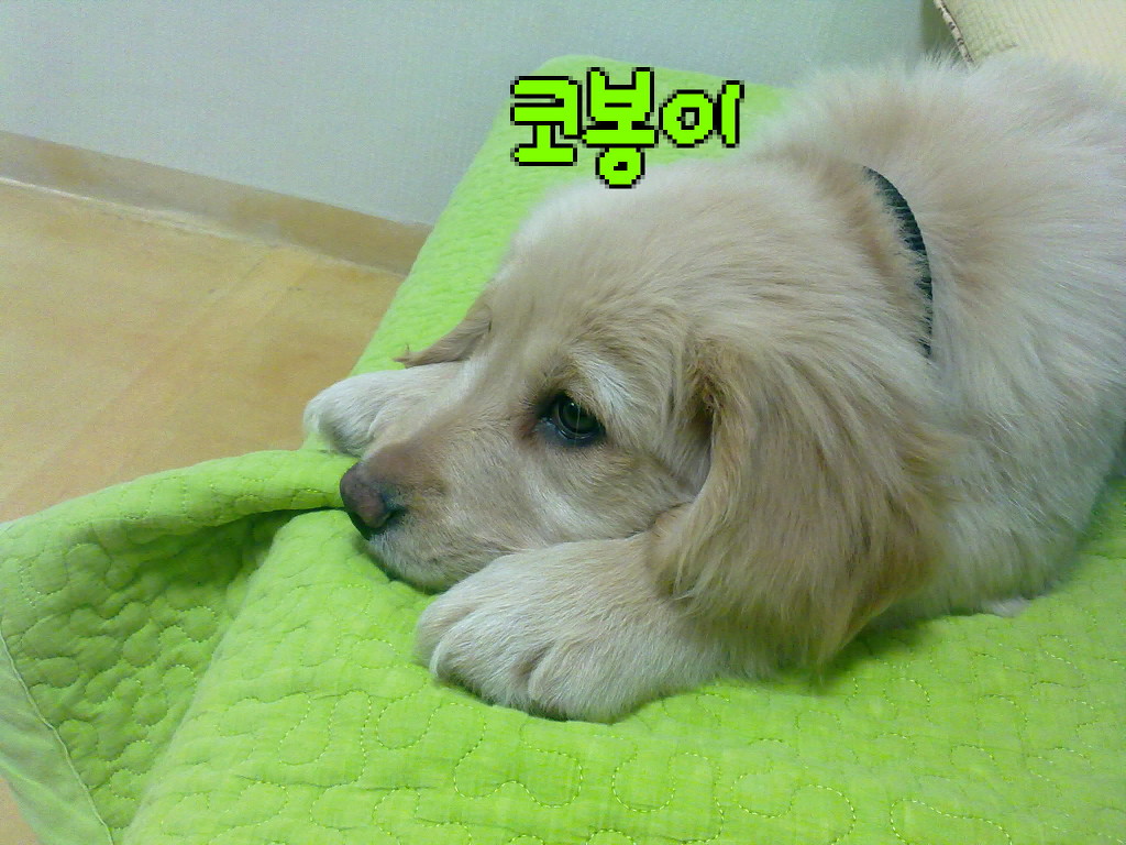 안녕하세요 이미지