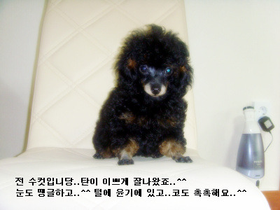논골마켓 이미지