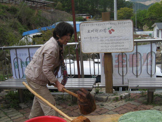 도야지 이미지