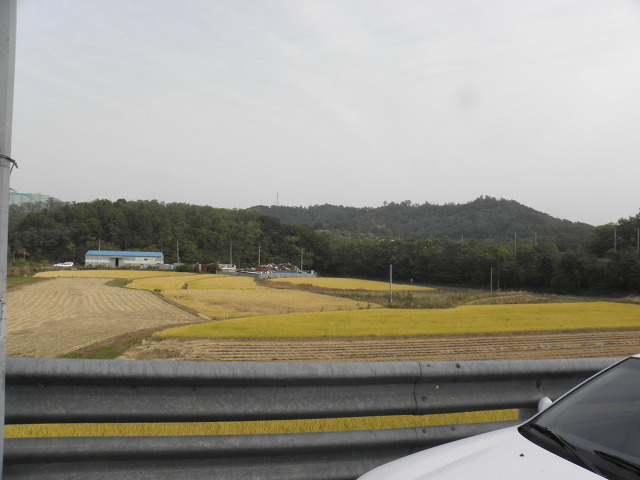 마스터경매학원 이미지