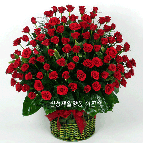 제일인사 이미지