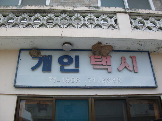 둥지다방 이미지