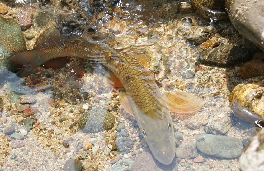 신명민박 이미지