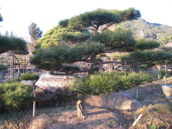 지리산농장 이미지