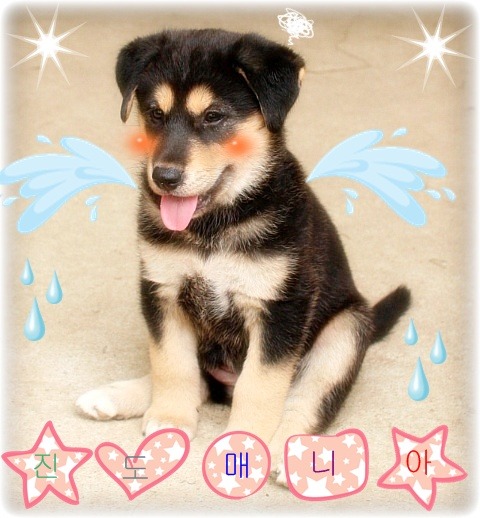 경카페 이미지