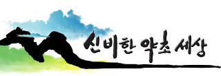 손담 이미지