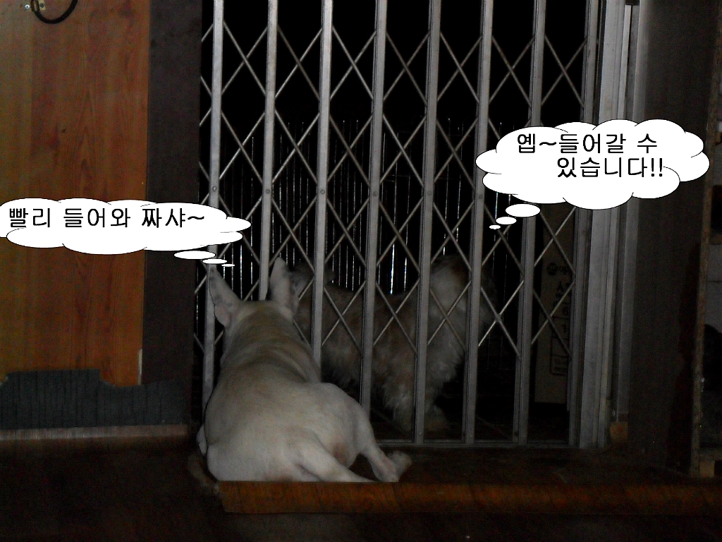 얘들아놀자 이미지