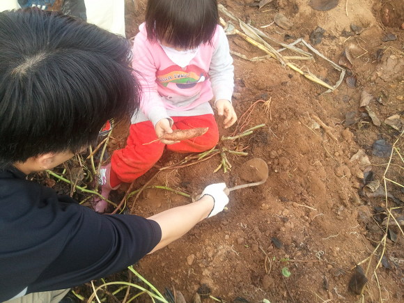 광주지산초등학교 이미지