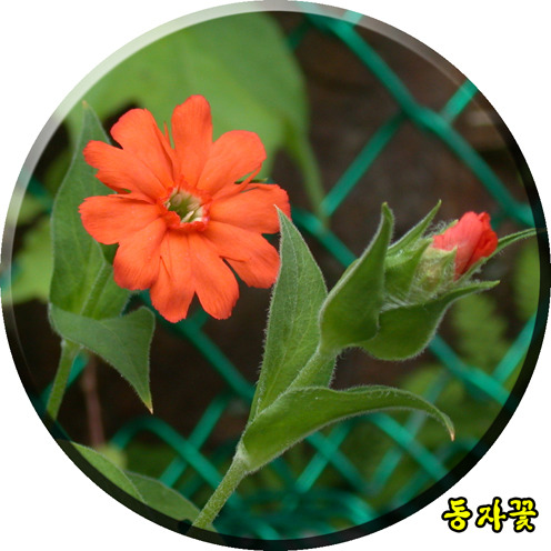 세로운 이미지