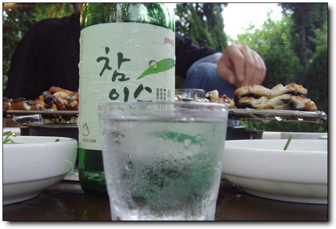 영산강민물장어 이미지