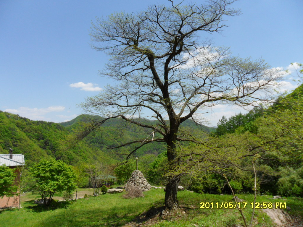 발교산산장 이미지