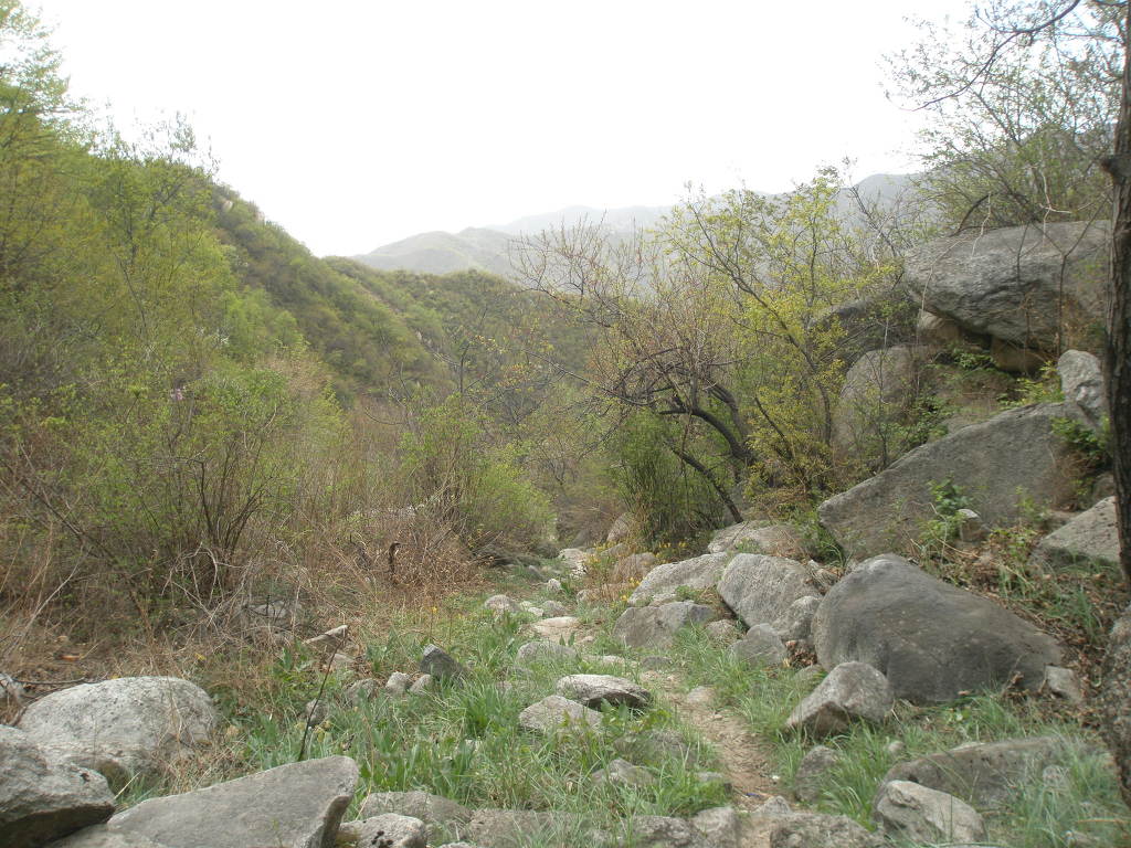 연수산 이미지