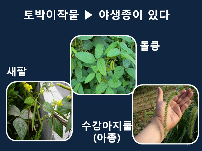 씨드림 이미지