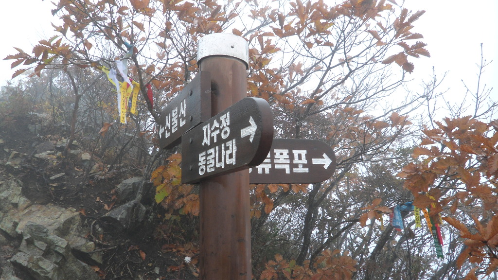 통큰딱따구리 이미지