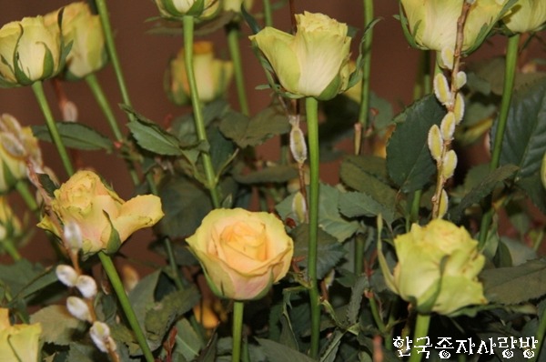 뷰티투유 이미지